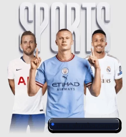 max-ybyabo.com.cn APP